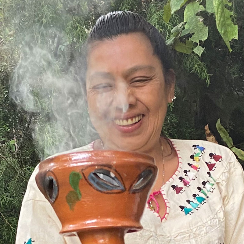 Eusebia Diaz Hernandez, or Evi, is a Mayan tzotzil curandera and expert in fixing bones, bodies by adjusting them and of the female reproductive system and womb. She is from A community of the Chiapas Highlands